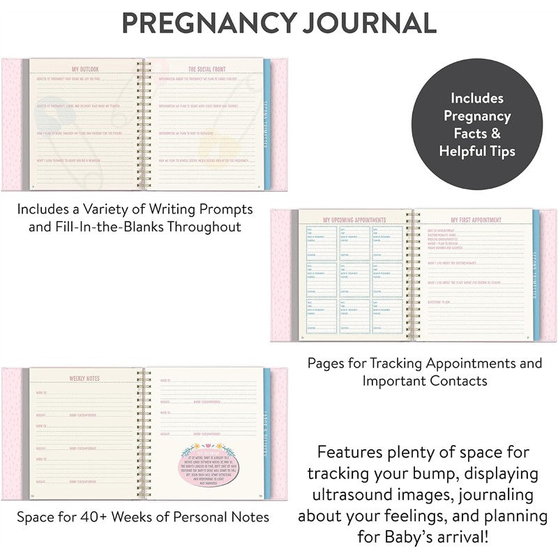 JuJuBe Bump For Joy! A Pregnancy Journal - Pink Image 3