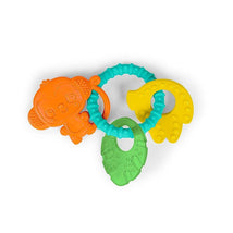 Kids II - Tropical Chews Teething Ring Image 1