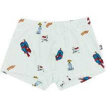 Kyte Baby - Kids Briefs In Superman, 5T Image 1