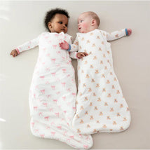 Kyte Baby Sleep Bag In Teddy Bear 1.0 Tog XL Image 2