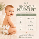 Little Me Baby Diapers Safari Soft, Absorbent & Gentle on Skin Image 3