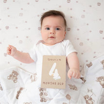 Living Textiles - Cotton Jersey Fitted Sheet Honey Pot Image 2