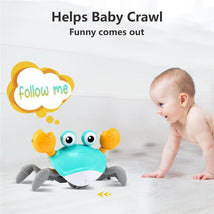 Macrobaby - Crawling Crab Baby Toy Image 2