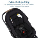Maxi-Cosi Ambra Infant Car Seat, Escargot Image 4