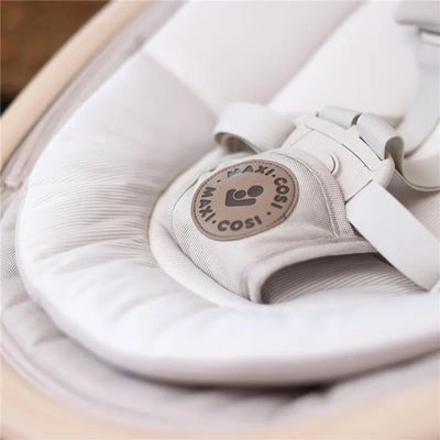 Maxi-Cosi Cassia Swing in Classic Graphite, featuring a padded seat and safety harness with the Maxi-Cosi logo.