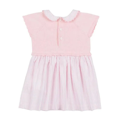 Light pink short sleeve knit dress for girls featuring a scalloped collar and a buttoned bodice with striped skirt.