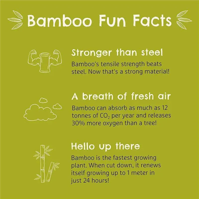 Munchkin - Bambou Open Training Cup for Babies Image 4