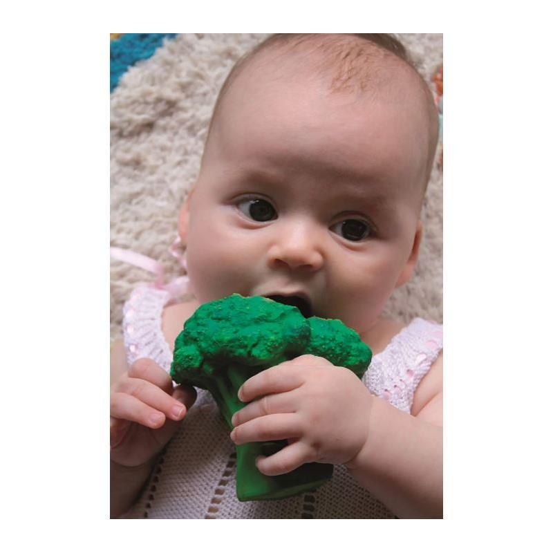 Oli & Carol - Chewable Toy, Brucy The Broccoli