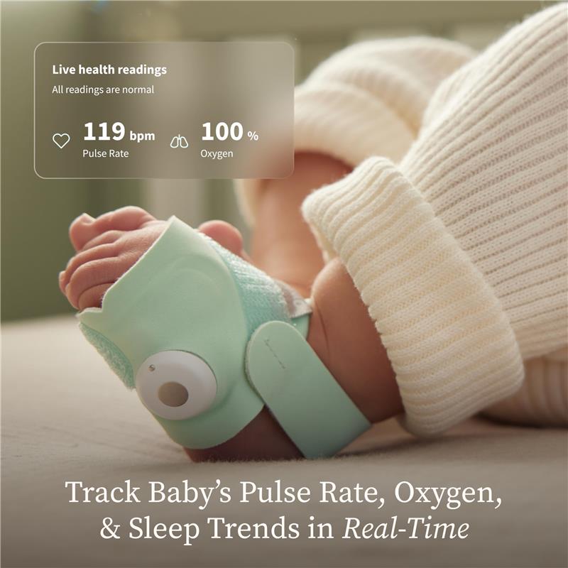 Owlet - Dream Duo™ 3 Baby Monitor, Bedtime Blue Image 4