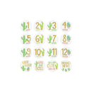 Pearhead Cactus Themed Baby 1st Year Memory Book + Baby Photo Props Image 3