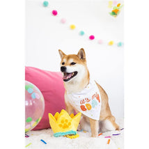 Pearhead Dog - Happy Barkday M/L Bandana Hat Set Image 2