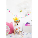 Pearhead Dog - Happy Barkday M/L Bandana Hat Set Image 3