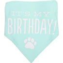 Pearhead Dog - Pet Birthday Pawty Kit Image 2