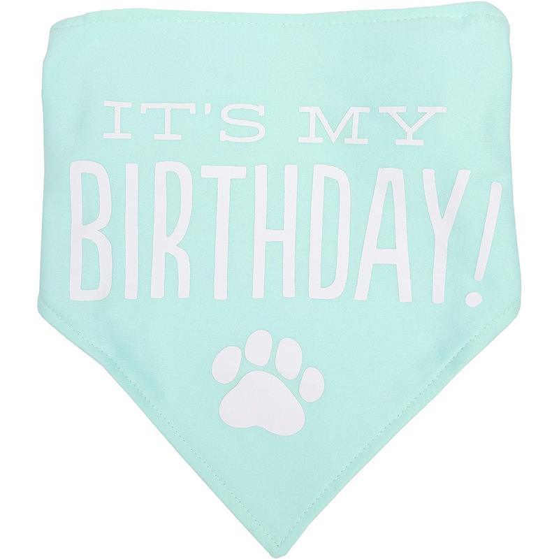 Pearhead Dog - Pet Birthday Pawty Kit Image 2