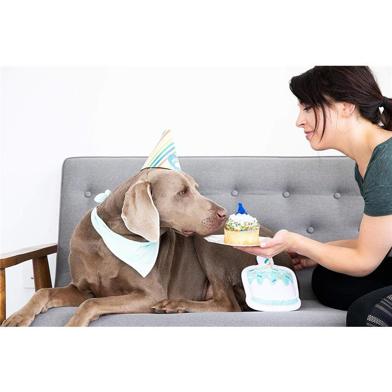 Pearhead Dog - Pet Birthday Pawty Kit Image 3