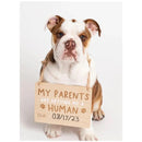 Pearhead - Wooden Pet Pregnancy Announcement Sign Image 4