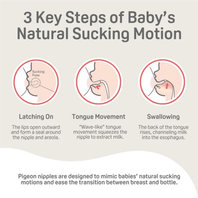 Diagram illustrating the three key steps of a baby’s natural sucking motion: latching on, tongue movement, and swallowing. Pigeon nipples are designed to mimic these motions.