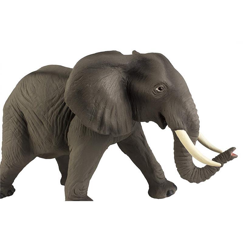 Safari - African Elephant Image 4