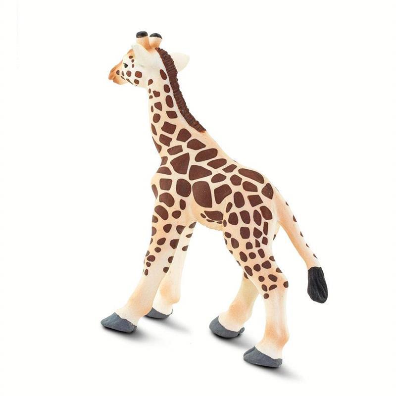 Safari - Giraffe Baby Image 3