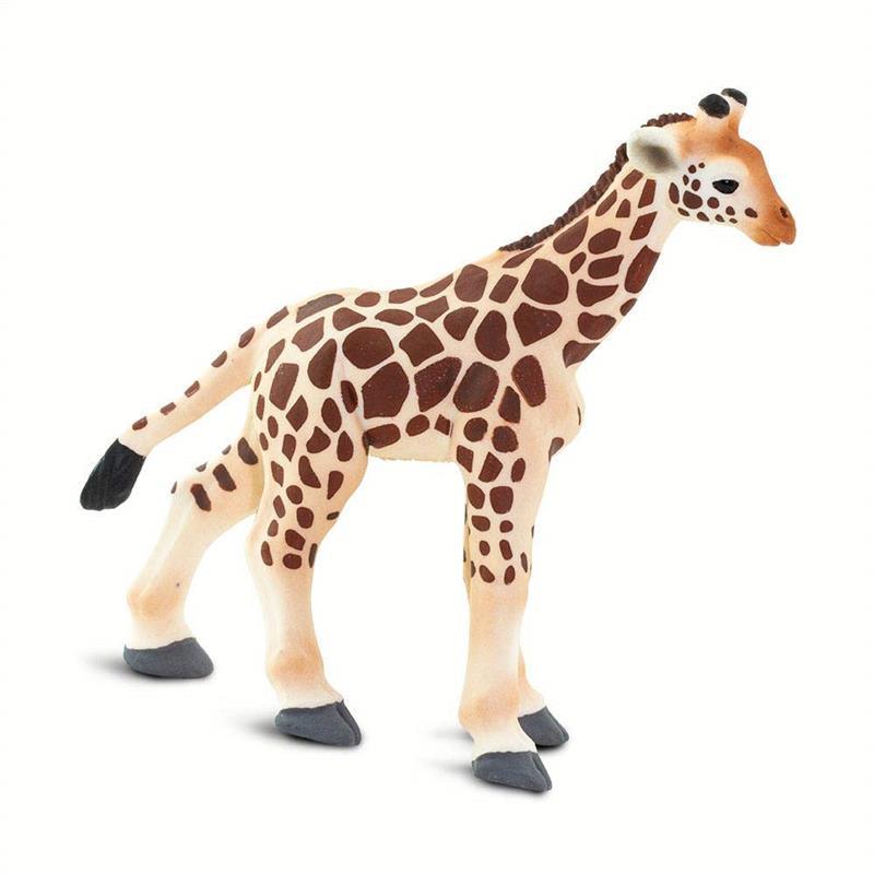 Safari - Giraffe Baby Image 5