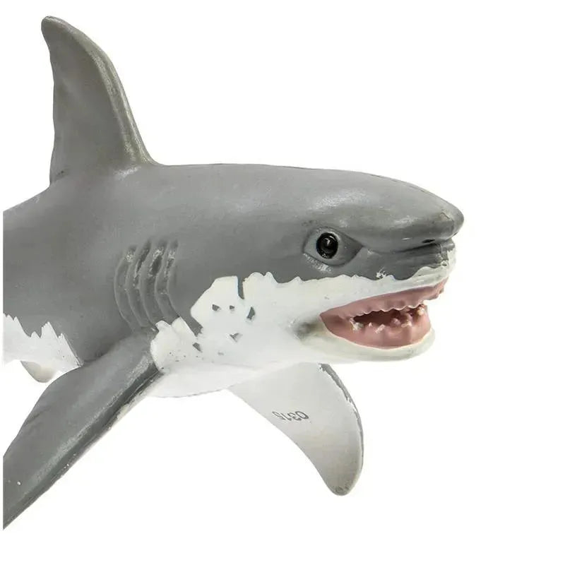 Safari - Great White Shark Image 6