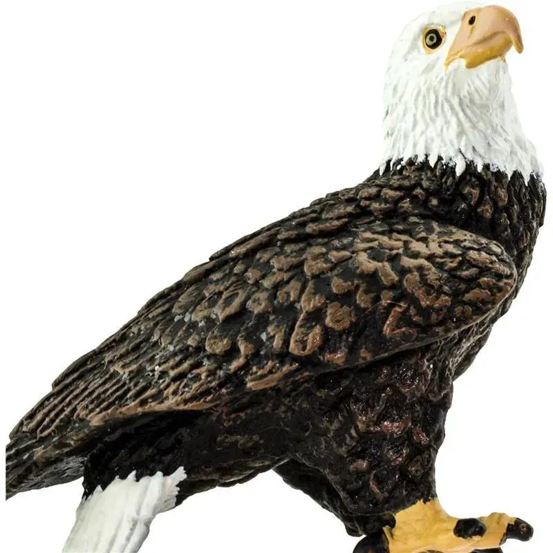 Safari Ltd. - Bald Eagle Figurine Image 3