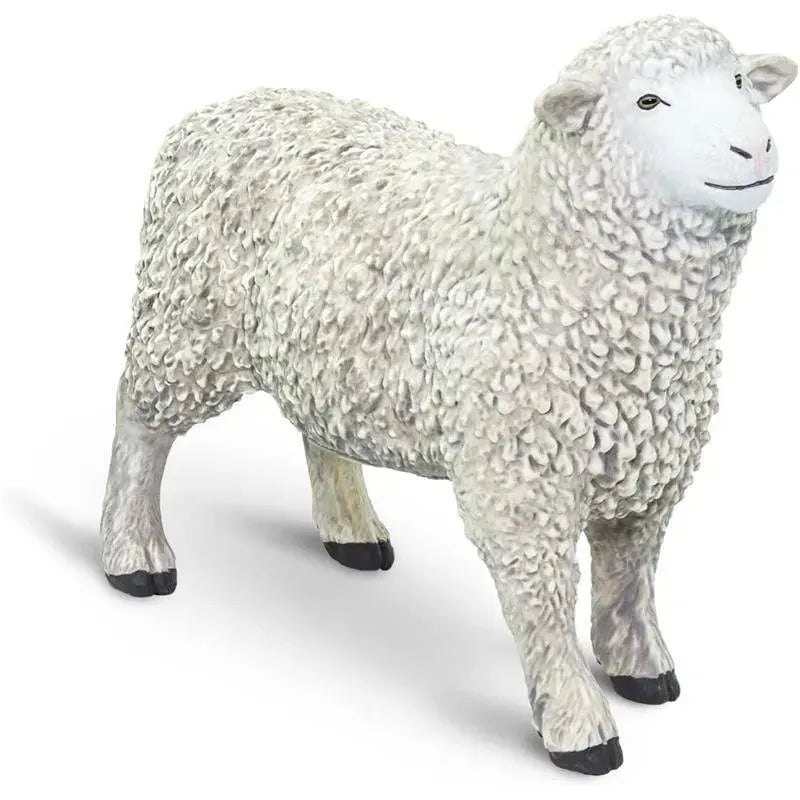 Safari Ltd. - Sheep Figurine, Lifelike 3.25 Figure Image 8
