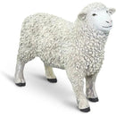 Safari Ltd. - Sheep Figurine, Lifelike 3.25 Figure Image 8