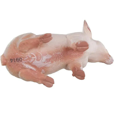 Sitting Piglet model by Safari Ltd, featuring realistic detailing with pink and white coloring.