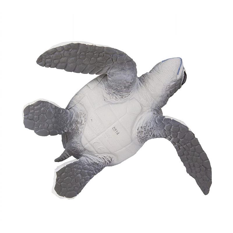 Safari - Sea Turtle Baby Image 13