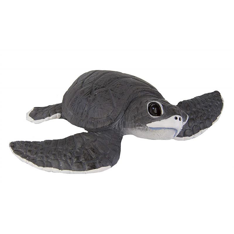 Safari - Sea Turtle Baby Image 1