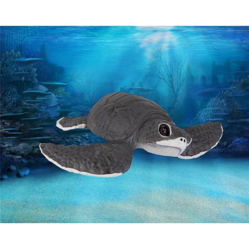 Safari - Sea Turtle Baby Image 3
