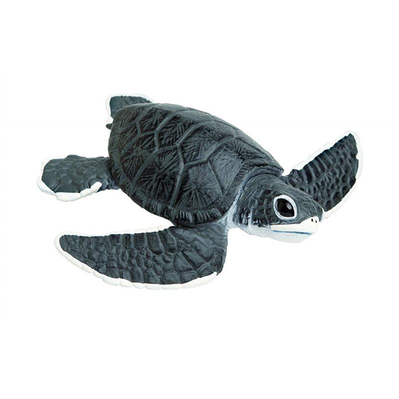 Safari - Sea Turtle Baby Image 5