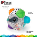 Sassy - Bumpy Badger Image 4
