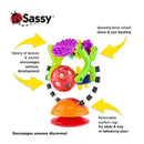 Sassy - Teethe & Twirl Sensation Station Image 4