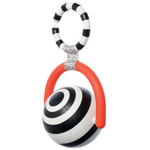 Sassy Wimmer Bullseye Ball Image 1
