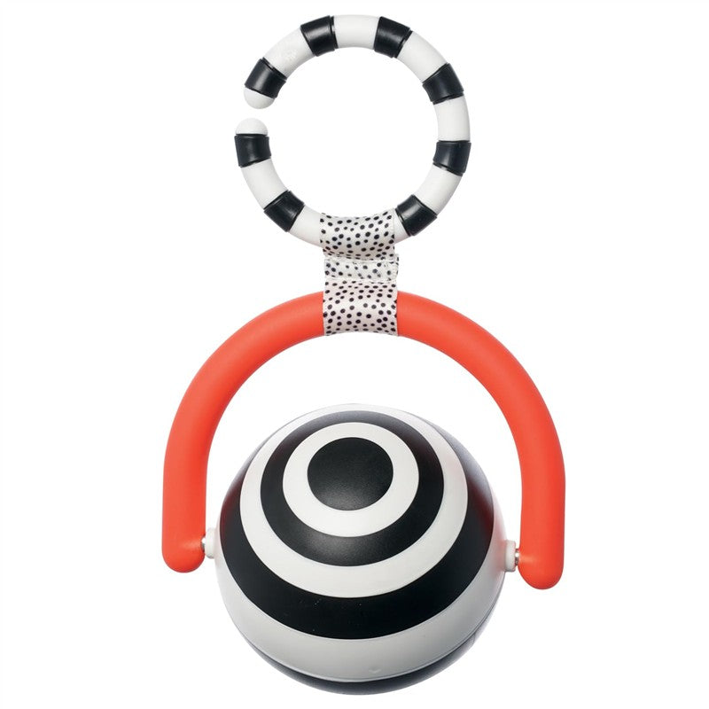 Sassy Wimmer Bullseye Ball Image 3