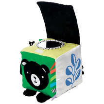 Sassy Wimmer Discovery Cube Image 1