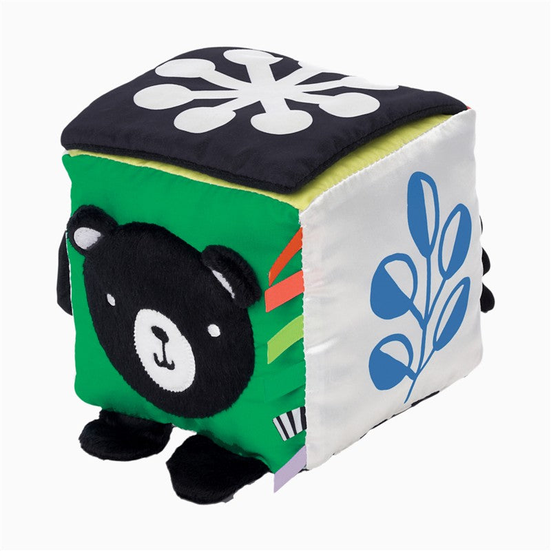Sassy Wimmer Discovery Cube Image 2