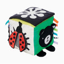 Sassy Wimmer Discovery Cube Image 3