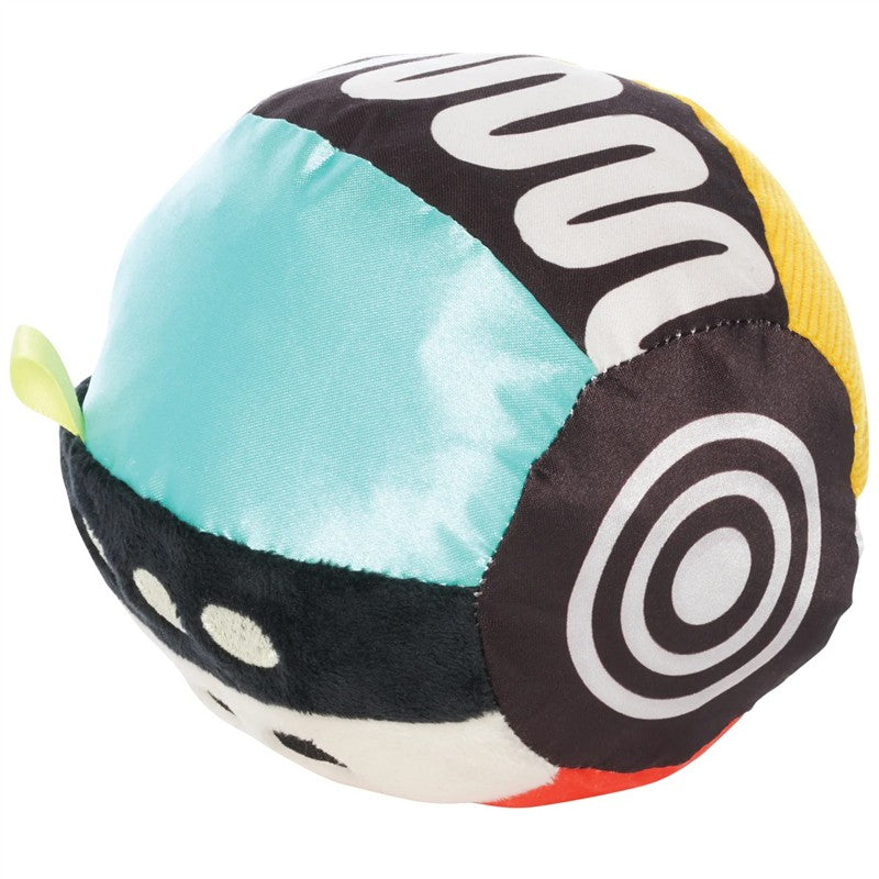 Sassy Wimmer Sensory Ball Image 4