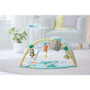 Skip Hop Tropical Paradise Activity Gym & Soother, Multicolor Image 8