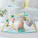 Skip Hop Tropical Paradise Activity Gym & Soother, Multicolor Image 6