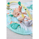 Skip Hop Tropical Paradise Activity Gym & Soother, Multicolor Image 4