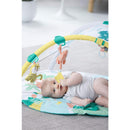 Skip Hop Tropical Paradise Activity Gym & Soother, Multicolor Image 7