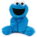 Spin Master - Cookie Monster Take Along Buddy 13 Image 7