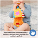 Spin Master Ms. Rachel Herbie Sensory Take A Long Toy Image 3
