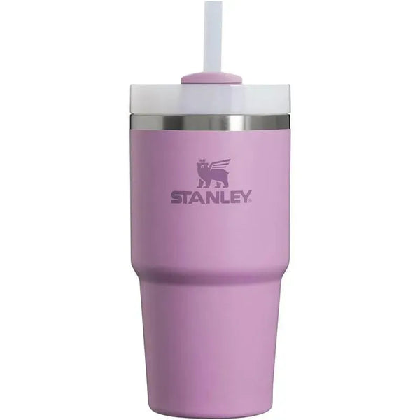 Stanley - 20Oz Quencher H2.0 FlowState Stainless Steel Vacuum Insulate