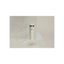 Stanley - 20Oz Stainless Steel AeroLight Transit Bottle, Cream Image 4