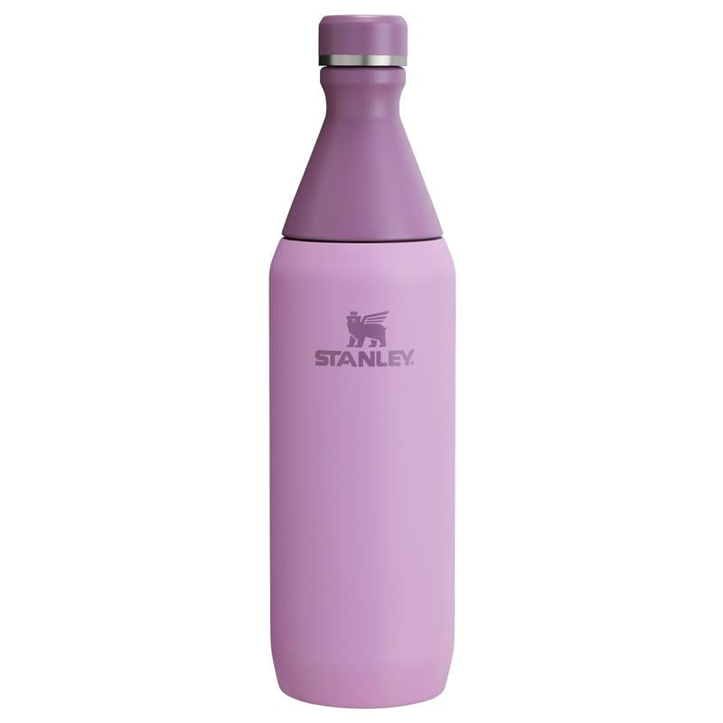 Stanley All Day Slim Bottle 20 oz | Leakproof Twist on Lid | Slim Desi